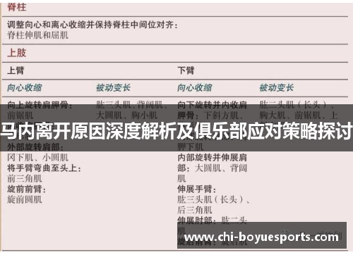 马内离开原因深度解析及俱乐部应对策略探讨